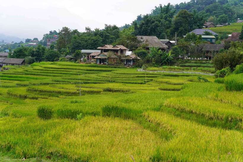 Sapa: Full-Day Hike to Ta Phin & Cat Cat Village With Lunch - Activity Overview