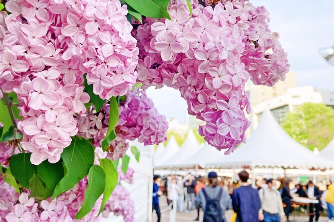 Sapporo City Tour and Seasonal Events in Odori Park Exploration