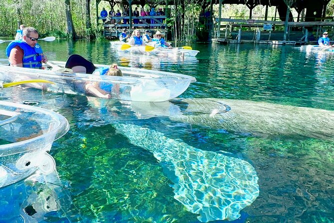 Sassy's Silver Springs Kayak and Paddleboard Tours - Overview of the Tour Experience