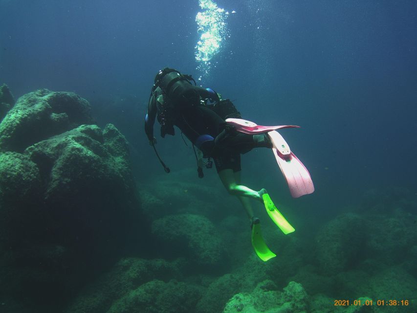 Scuba Diving Experience for Beginners