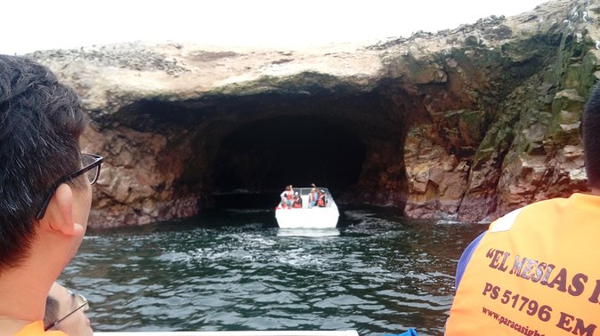 Sea Lions !!! Experience in the Ocean