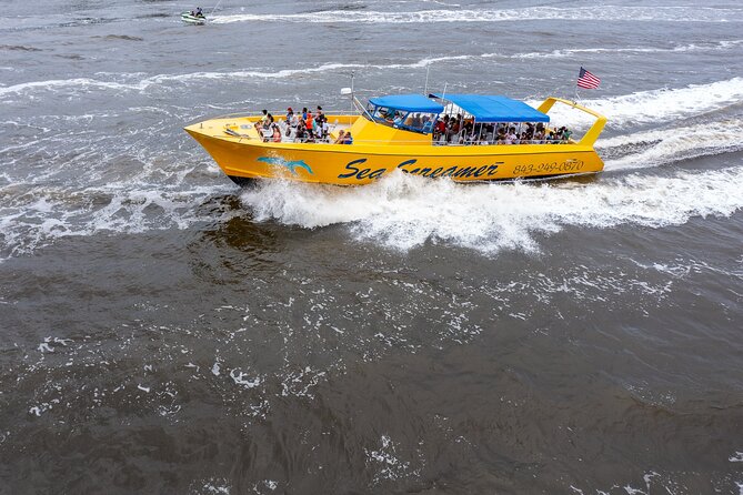 Sea Screamer Cruise - 2 Hour Dolphin Watch Tour in South Carolina - Tour Overview