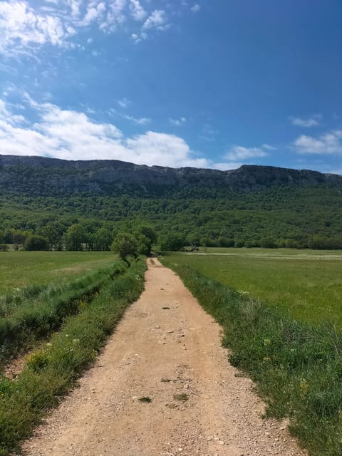 Secret Provence on Mary Magdalene’s Path
