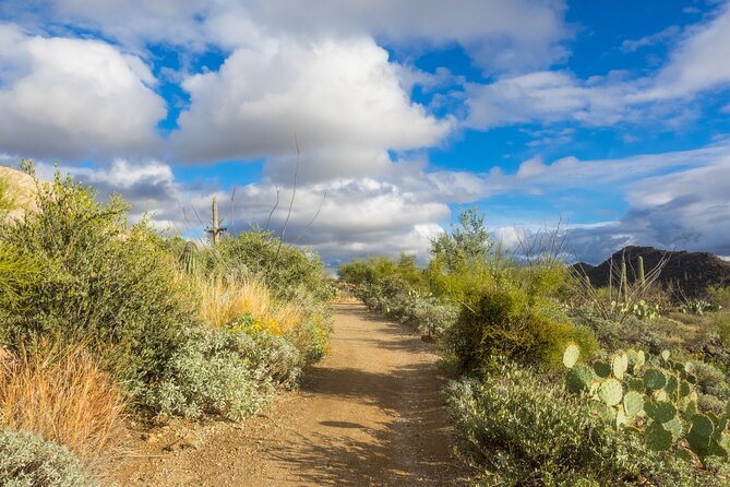 Self Guided Driving Audio Tour of Saguaro National Park