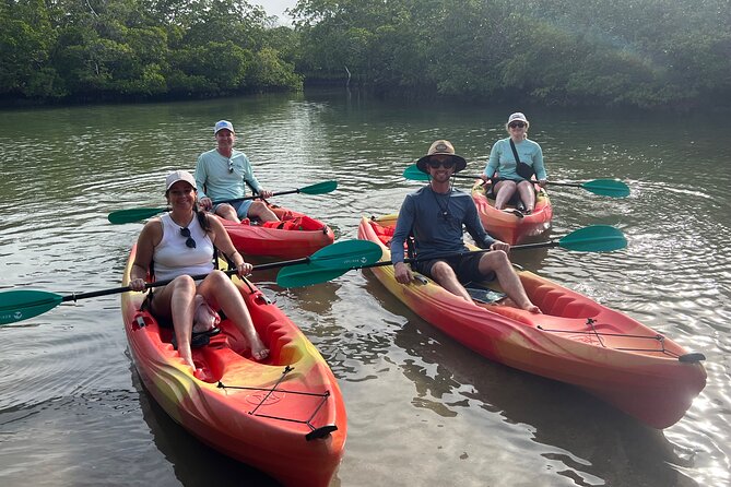 Self Guided EcoTour: Clear/Standard Kayaks -Bonita Springs - Overview and Recommendations