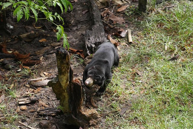 Semenggok Wildlife Centre
