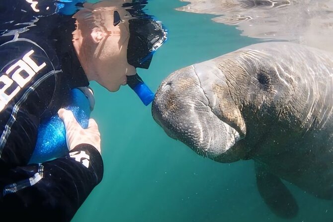 Semi-Private Manatee Swim Tour With Guide (Photos Included) - Inclusions