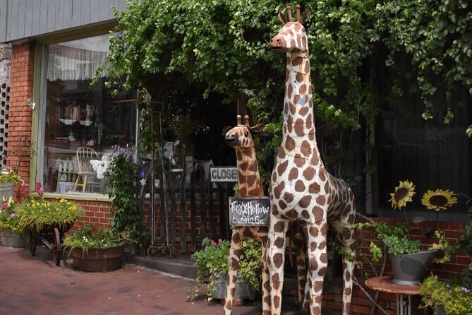 Senoia the Walking Dead Film Locations 2 Hours Walking Tour - Tour Overview