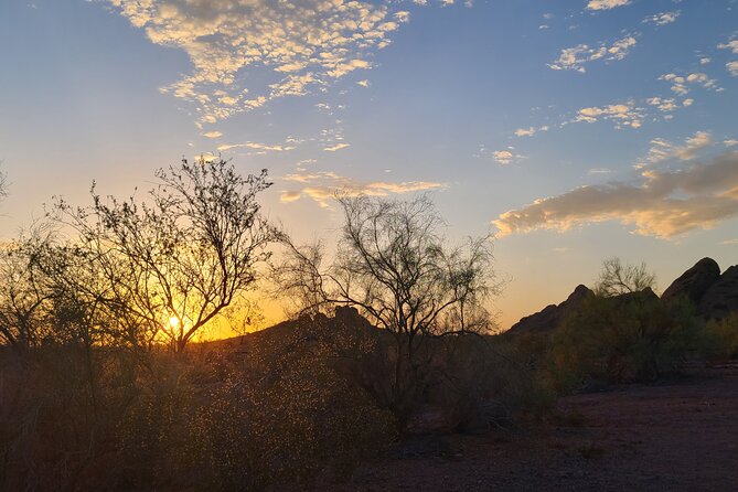 Serene Botanical Tour of the Sonoran Desert. Guided Nature Walk - Meeting and Pickup
