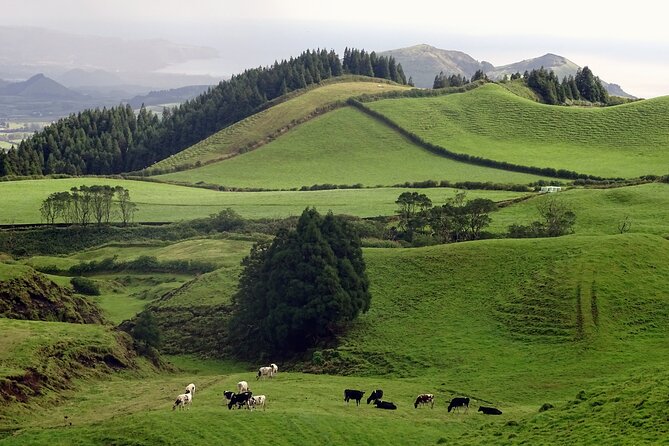 Sete Cidades by Van (Half Day) - Highlights of the Itinerary