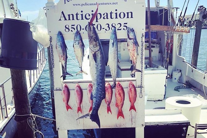 Shared Deep Sea Fishing Trip