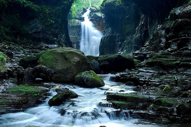 Shared Hidden Valley Tour From Manila Review - Tour Overview