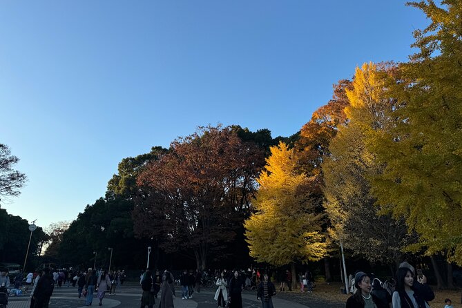 Shibuya and Harajuku Highlights Walking Tour