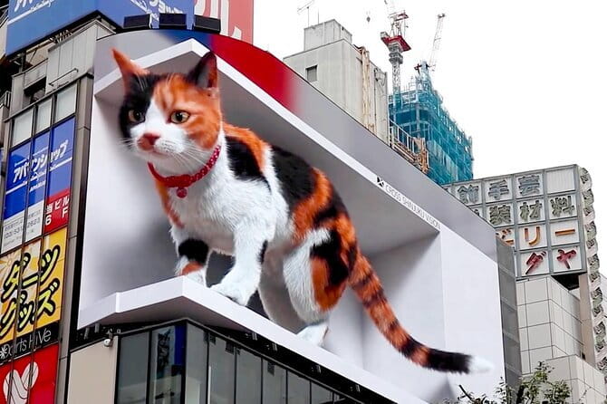 Shinjuku Night Tour and Explore Tokyo Neon Wonderland