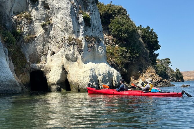 Sick Day Midweek Kayak Tour on Tomales Bay