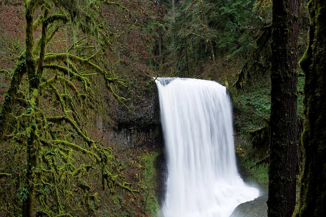 Silver Falls Private Hike Tour