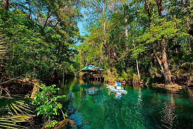 Silver Springs Paddle Board Adventure