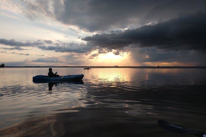 Single Kayak Rental Review: Manatees and Dolphins