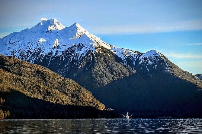 Sitka’S Private Wildlife Whale Adventure for 6 W/Transportation