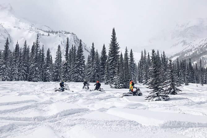 Ski-doo Snow Safari in Borovets