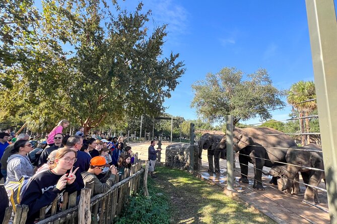 Skip The Line Houston Zoo Admission Ticket
