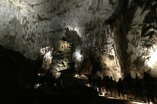 Skocjan Cave Day Trip From Ljubljana - Amenities and Inclusions