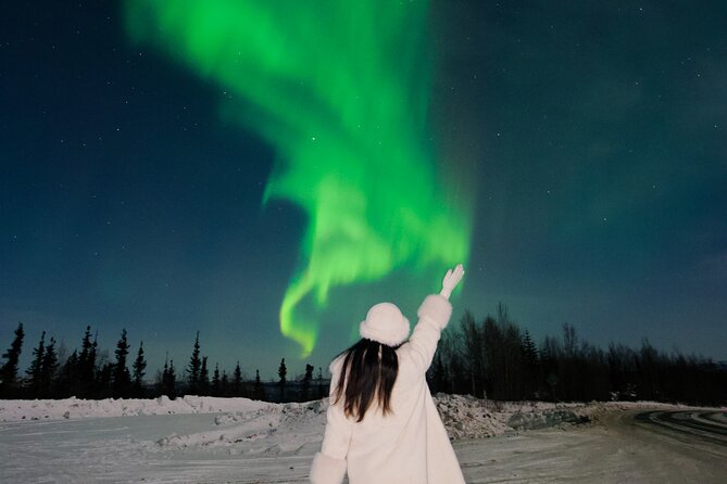 Small Group Aurora Viewing Tour Review - Overview of the Aurora Viewing Experience