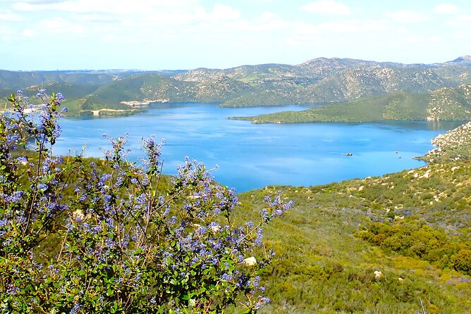 Small Group Hike Through San Diegos Heart and Soul