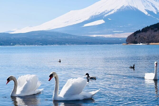 Small Group Mt. Fuji, Sengen Shrine and Lake Kawaguchi Tour