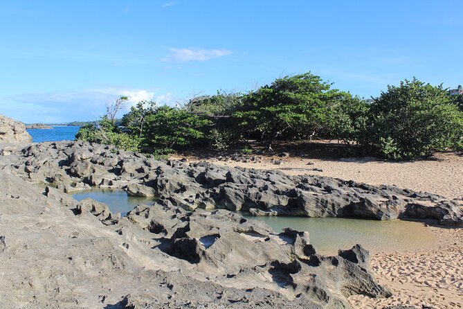 Small-Group North Coast Beach Hopping Adventure in Puerto Rico