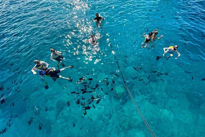 Small Group Turtle Canyon Snorkel in Waikiki