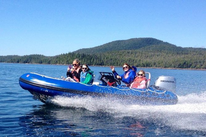 Small-Group Zodiac Wilderness Adventure From Ketchikan