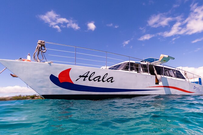 Snorkel Adventure From Kawaihae Harbor