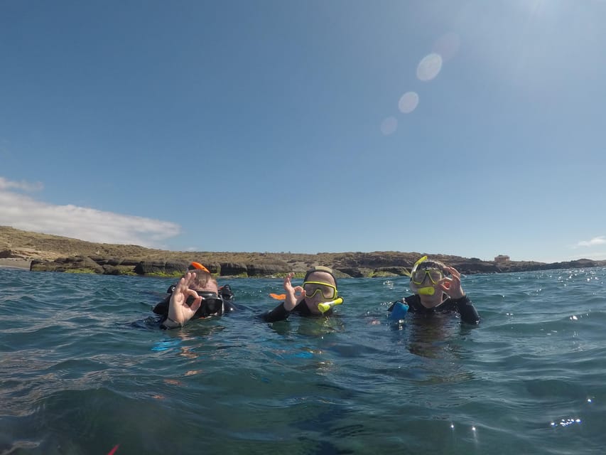 Snorkeling in Tenerife South: Discover the Underwater World