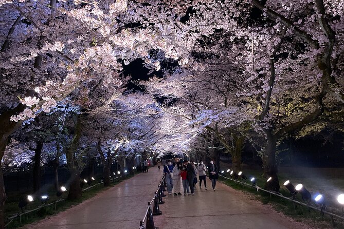 Snow Monkey and Takada Castle Cherry Blossom Illumination Tour