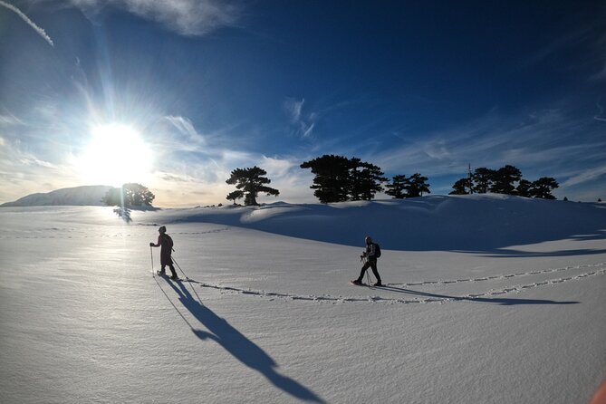 Snowshoeing on the Pollino