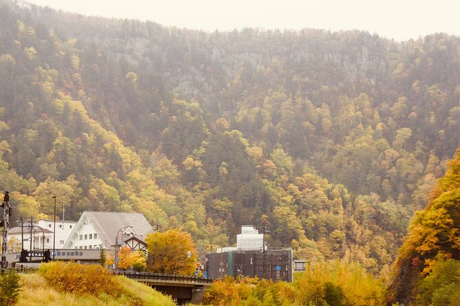 Sounkyo Gorge Autumn Leaves Ice Pavilion Day Tour by Private Car