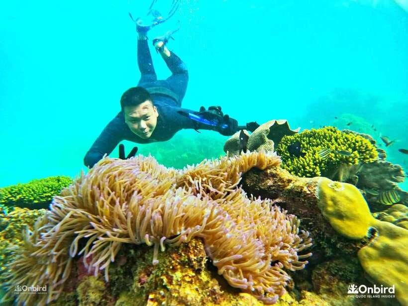 South Phu Quoc: 3-4 Hours Private Snorkeling Trip