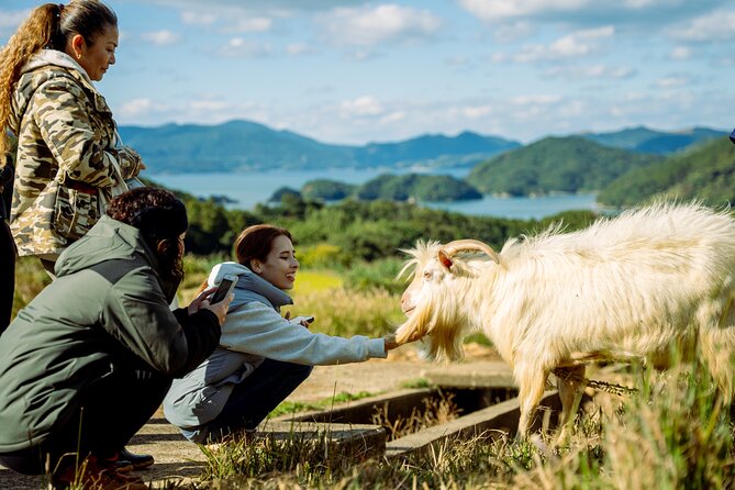 Spectacular Terraced Rice Field Walking Experience