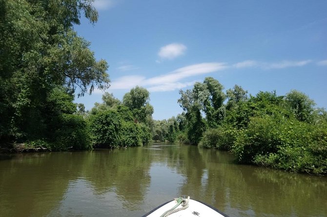 Sport Fishing in Delta Dunarii With Camely Cruise Boat.