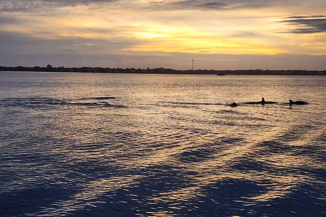 St. Augustine Private Day or Sunset Boat Tour, 6 Passengers Max - Tour Overview