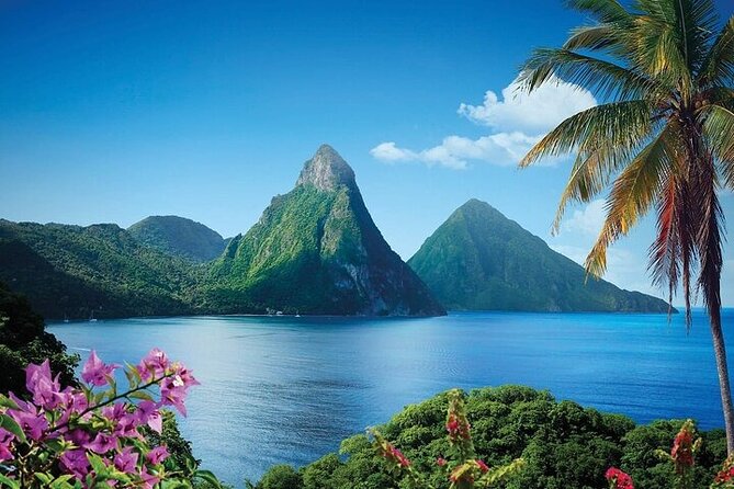 St. Lucia Rainforest Eco-Explorer: Aerial, Zip, and Hike Combo