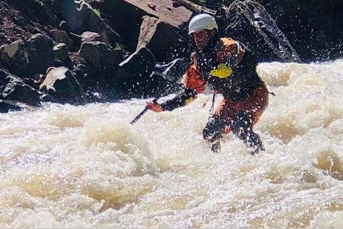 Stand Up Paddle Board Colorado River Adventure: Guided Half Day