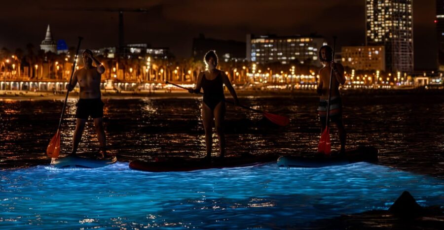 Starlight Paddlesurf During the Night in Barcelona - Activity Overview
