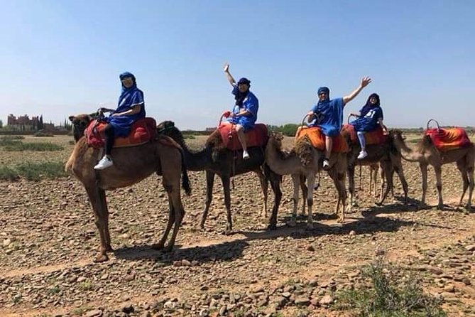 Summiting The Atlas Mountains Day Hike & Trek From Marrakech
