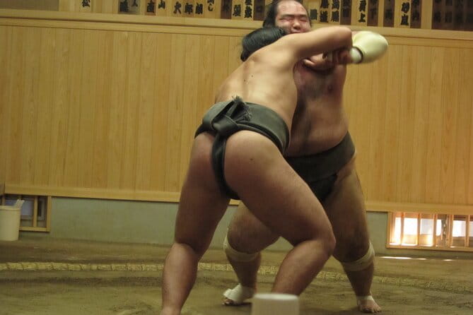 Sumo Morning Training Watch in Tokyo