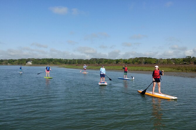 SUP (Stand-Up Paddboard) Salt Marsh Maze Tour