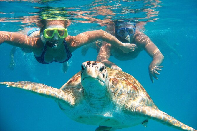 Swim With Turtles + ATV + Ziplines + Cenote + Lunch