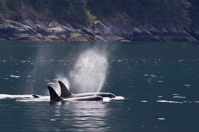 Tales & Tides: Alaskan Lore & Wildlife Cruise - Highlights of the Cruise Experience