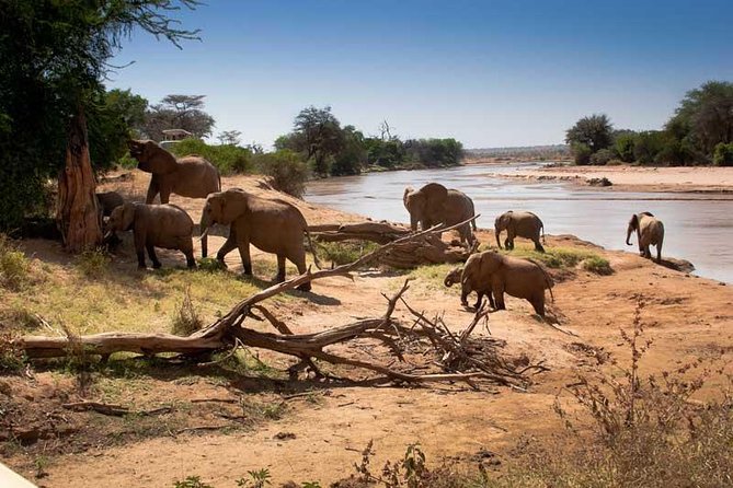Tarangire National Park Day Trip